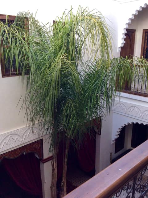 Riad Ghali Hotel & SPA — other