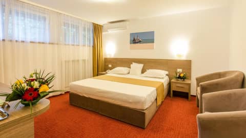 Hotel Herastrau — photo 9