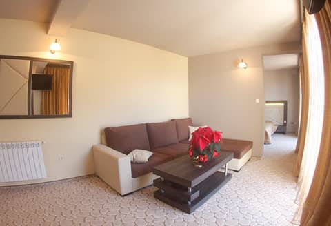 Vitoshko Lale Hotel — photo 4