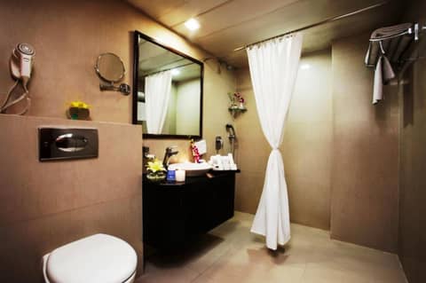 Taurus Sarovar Portico — photo 3