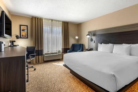 Comfort Inn & Suites North Dallas-Addison — photo 2