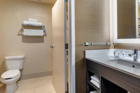 Comfort Inn & Suites North Dallas-Addison — photo 7