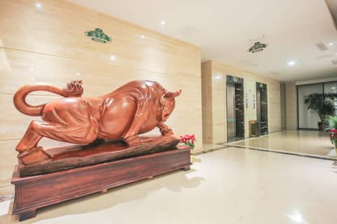 New Knight Royal Hotel Airport and International Resort — photo 4