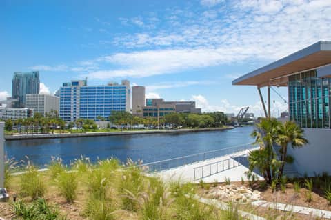 The Barrymore Hotel Tampa Riverwalk — photo 5