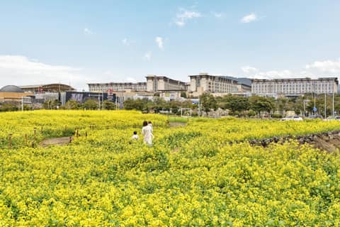 Landing Jeju Shinhwa World Hotel — photo 8