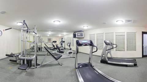Comfort Inn & Suites Savannah Airport — activities & amenities