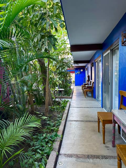 Siesta Suites Boutique Hotel — photo 3