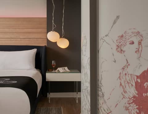 Hotel Zena Washington DC — hotel room