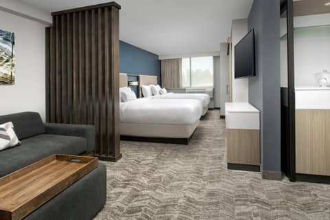 SpringHill Suites by Marriott Atlanta Perimeter Center — photo 2