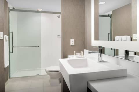 SpringHill Suites by Marriott Atlanta Perimeter Center — photo 7
