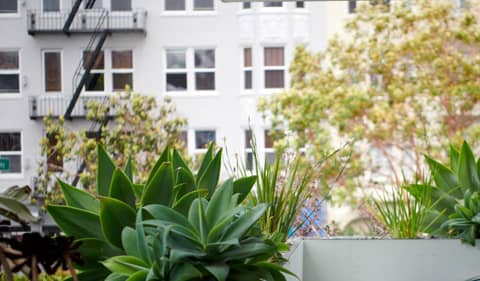 Phoenix Hotel — balance & terrace