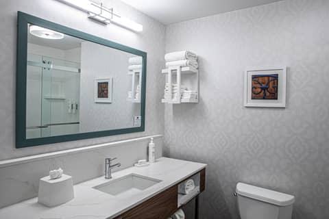 Hampton Inn & Suites Charleston-West Ashley — photo 3