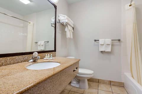 Quality Inn & Suites NRG Park - Medical Center — photo 8