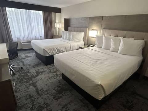 Comfort Inn — photo 4
