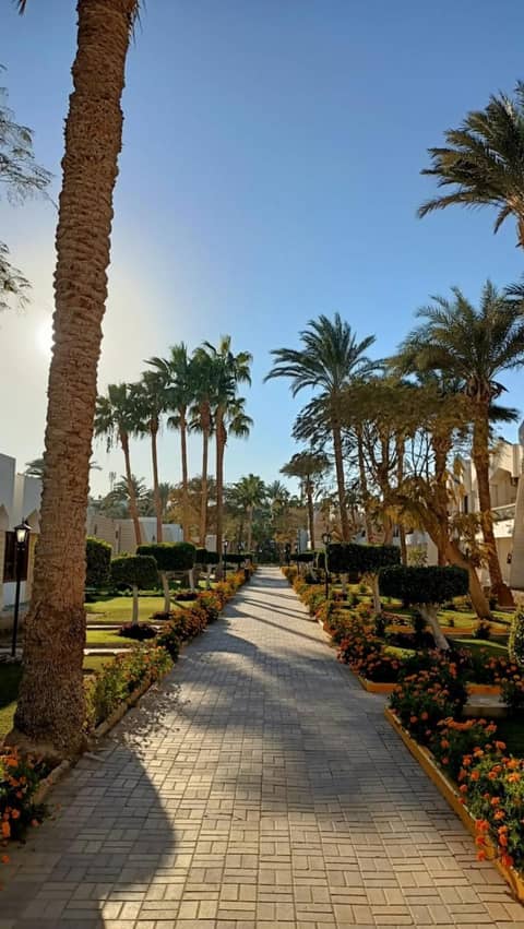 Regina Resort and Aqua Park Hurghada — photo 6