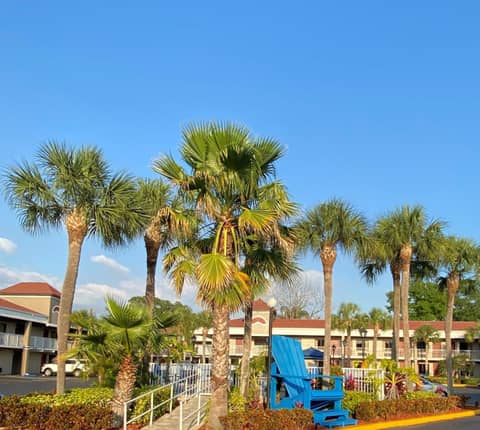 Hotel South Tampa & Suites — photo 7