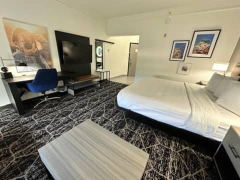 La Quinta Inn & Suites by Wyndham Houston Bush IAH South — photo 7