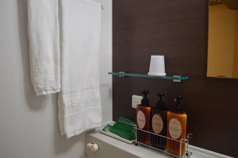 Hotel Route-Inn Grand Tokyo Asakusabashi — photo 6