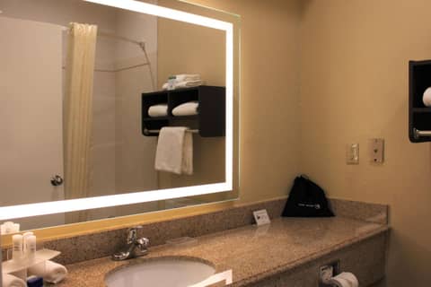 Best Western Plus North Houston Inn & Suites — photo 5