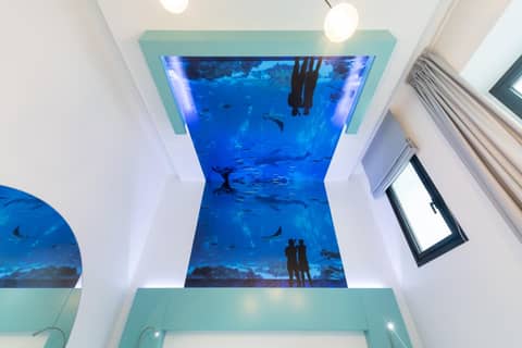 HD Acuario Lifestyle — photo 9
