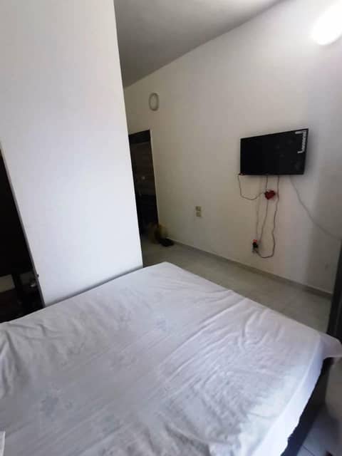 One-Bedroom Apartment — the supplier's photographs — photo 1