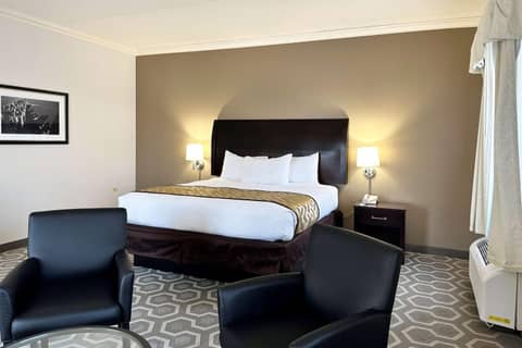 Chicago South Loop Hotel — photo 3