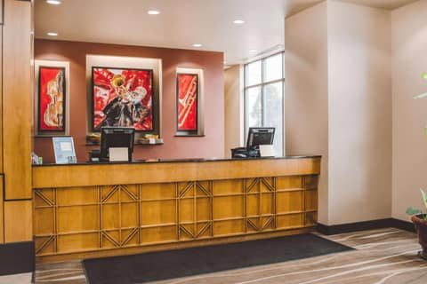 Chicago South Loop Hotel — photo 8