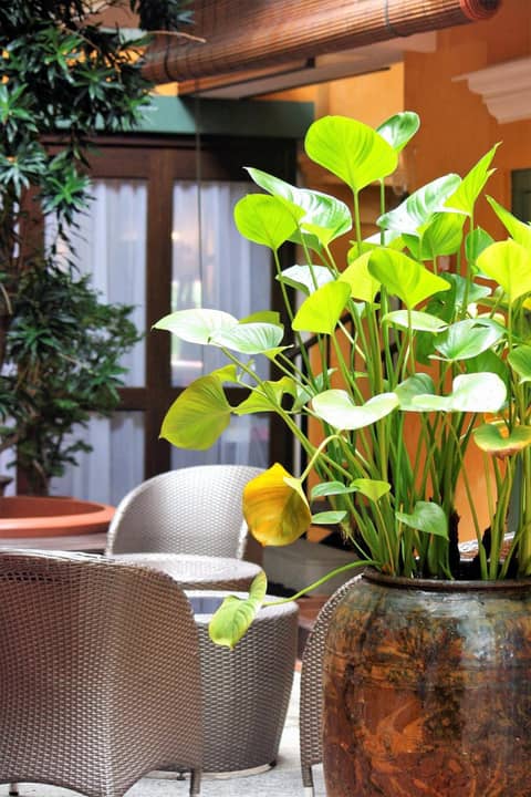 Yeng Keng Hotel — photo 7