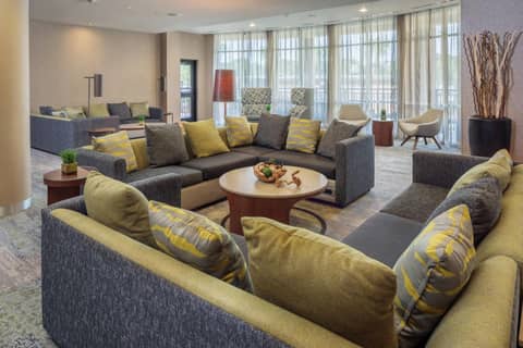 Courtyard By Marriott Houston Medical Center Reliant Park — photo 8