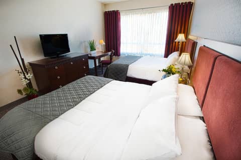 Hotel Universel — photo 4