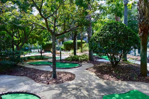 Calypso Cay Vacation Villas — activities & amenities
