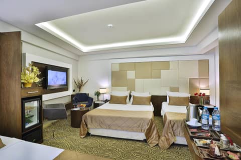 Grand Sagcanlar Hotel — photo 5