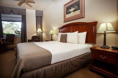The O'Brien Riverwalk Hotel, Trademark Collection by Wyndham — photo 8