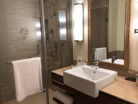 DoubleTree by Hilton Agra — photo 8