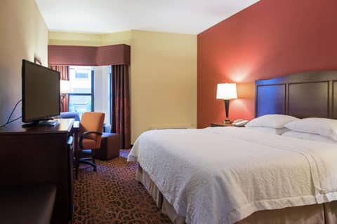 Hampton Inn & Suites Tampa-North — photo 7