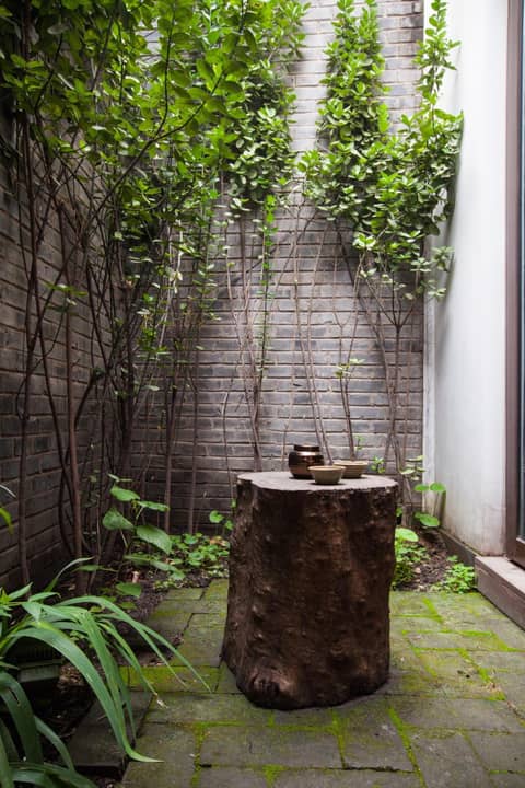 The Orchid Hotel - Old Town & Drum Tower — photo 4