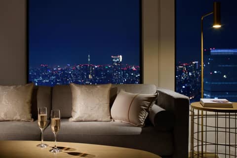 Keio Plaza Hotel Tokyo — photo 2