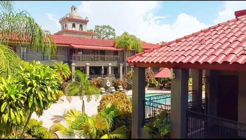 Red Roof Inn PLUS & Suites Tampa - Busch Gardens — photo 2