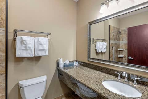 Comfort Inn & Suites Fort Worth - Fossil Creek — photo 3