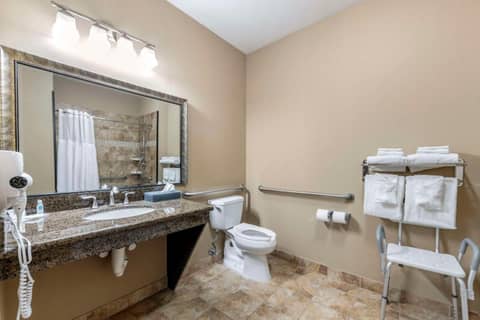 Comfort Inn & Suites Fort Worth - Fossil Creek — photo 7