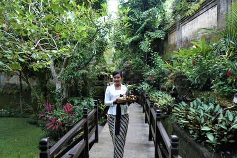 Ibah — photo 2