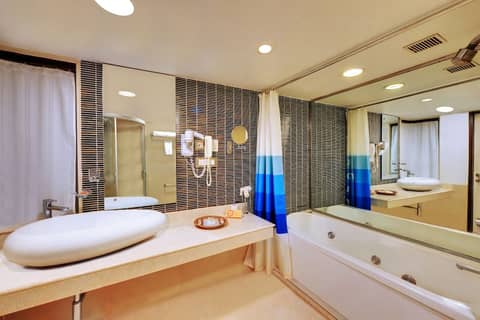 Iris The Business Hotel — photo 6