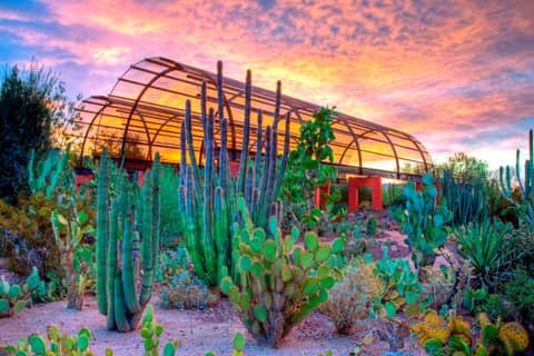 Holiday Inn Express & Suites - Phoenix - Airport North by IHG — photo 7