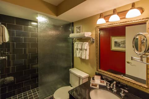 Bourbon Orleans Hotel — photo 6