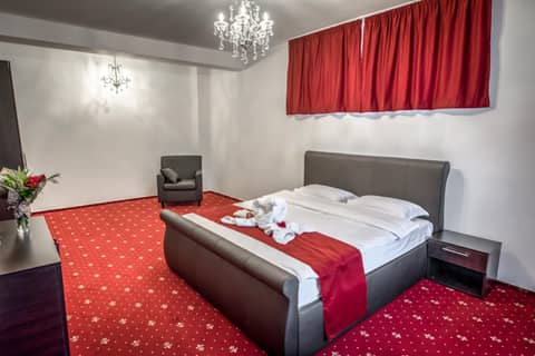 Hotel Elisabeta — photo 6
