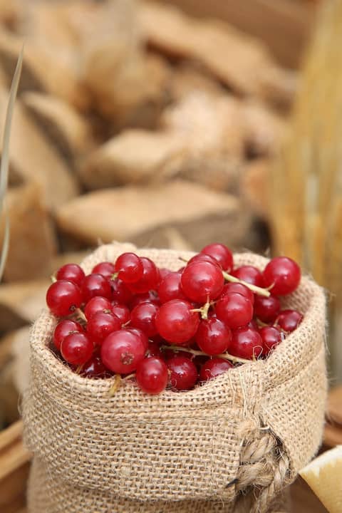 Grand Cosmopolitan Hotel — other