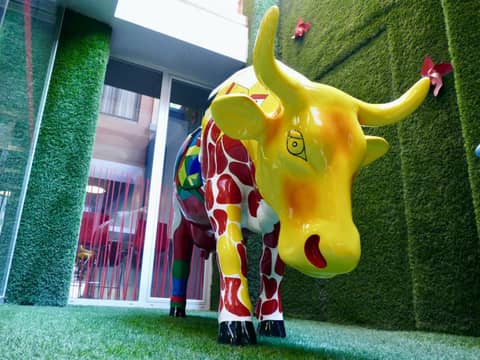Hotel Turin Barcelona — photo 3
