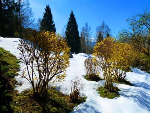 Romantik Hotel Die Gersberg Alm mit Panoramablick auf Salzburg und Outdoor Pool ab Mai — photo 6