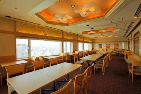 Shin Osaka Washington Hotel Plaza — photo 6