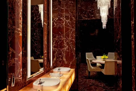 Radisson Blu Plaza Delhi Airport — photo 8